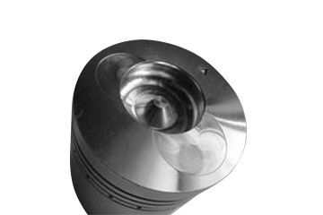 Encaixes de tubulação de aço inoxidável métricos rosqueados do pistão